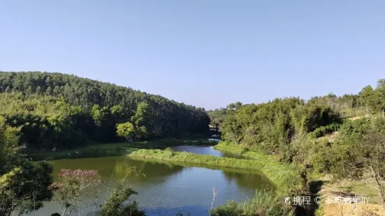 Sakura Valley