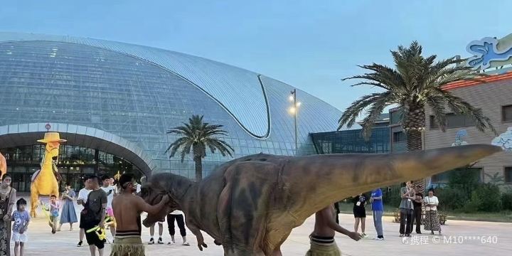 Dinosaur Kingdom