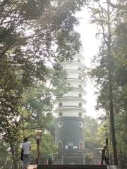 来鳳山国家森林公園