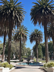 Plaza De Armas de Parral