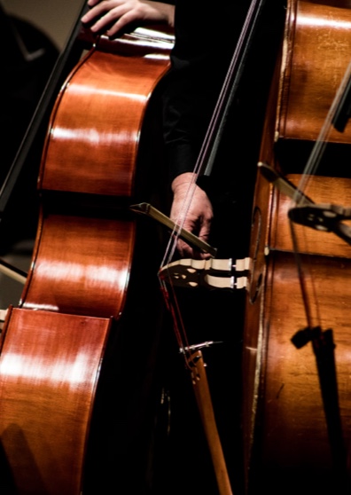 Hamburg | Joe Hisaishi World Dream Tour in Hamburg | Elbphilharmonie Hamburg