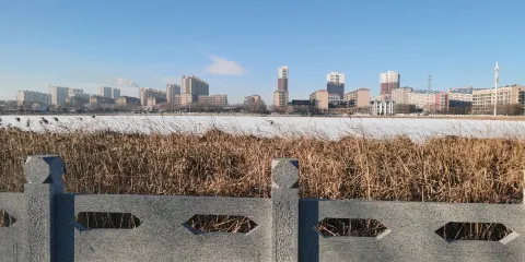 為民湖綠色生態園