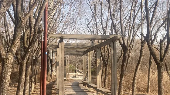 北膠新河濕地公園