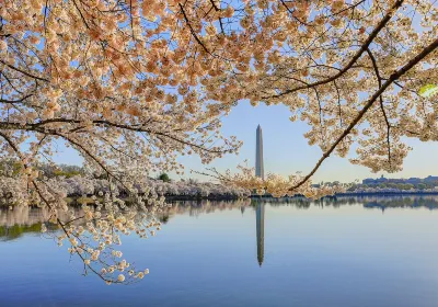 Tidal Basin