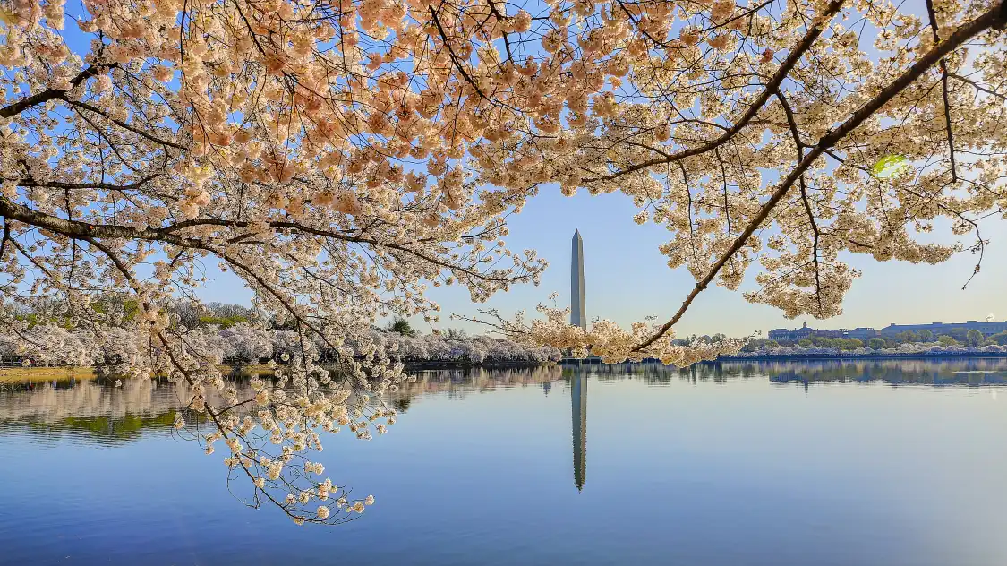 Hotel in zona Tidal Basin