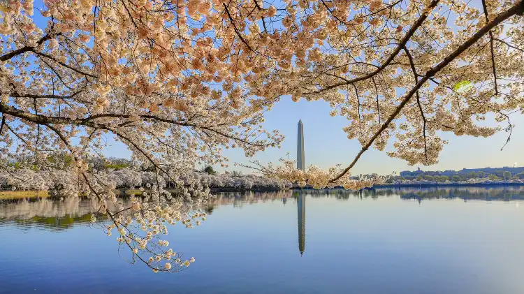 Hotels near Tidal Basin