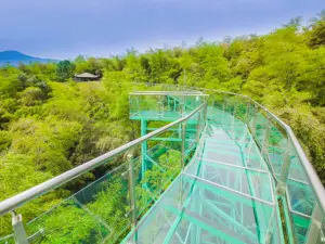 Taozu Sacred Site