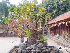 Dau Pagoda