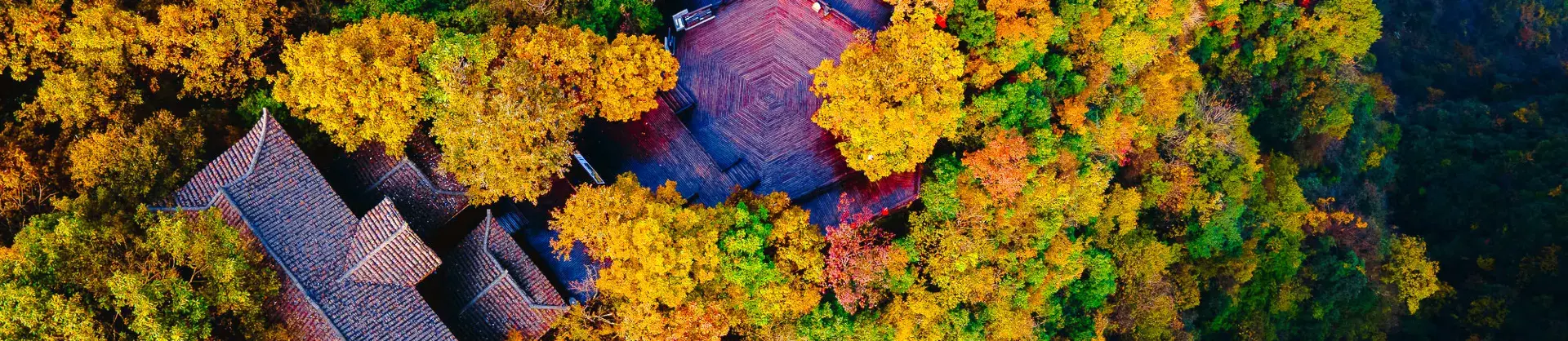Fall Viewing Attractions