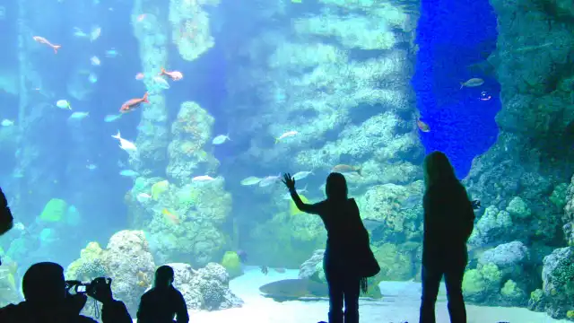 丹佛市區水族館附近的飯店