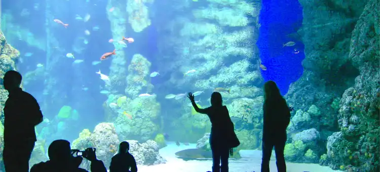 Hotels near Downtown Aquarium