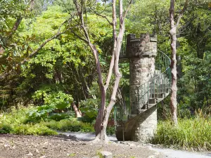 Clyne Gardens