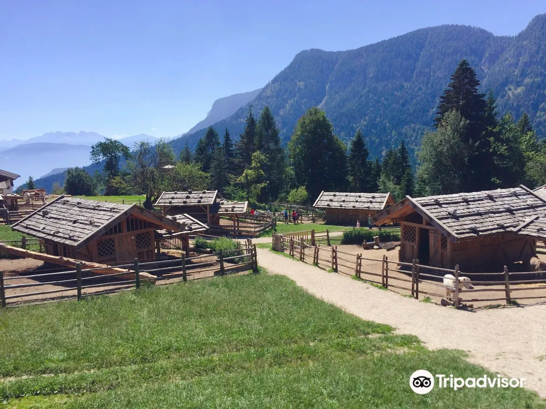 1_Fattoria Rainguthof