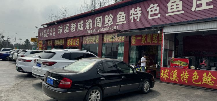 球溪老成渝周鲶鱼(总店)