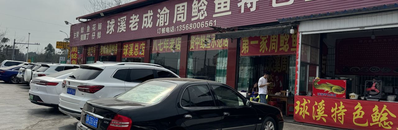球溪老成渝周鲶鱼(总店)