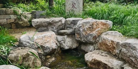 聖母泉