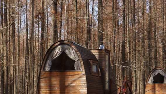 Huanghai National Forest Park - Wooden Cabin Cluster