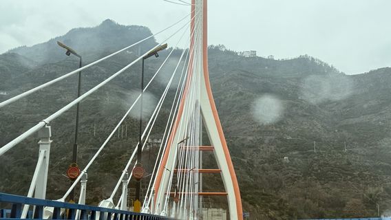 Zigui
