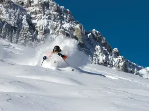 Bridger Bowl Ski Area