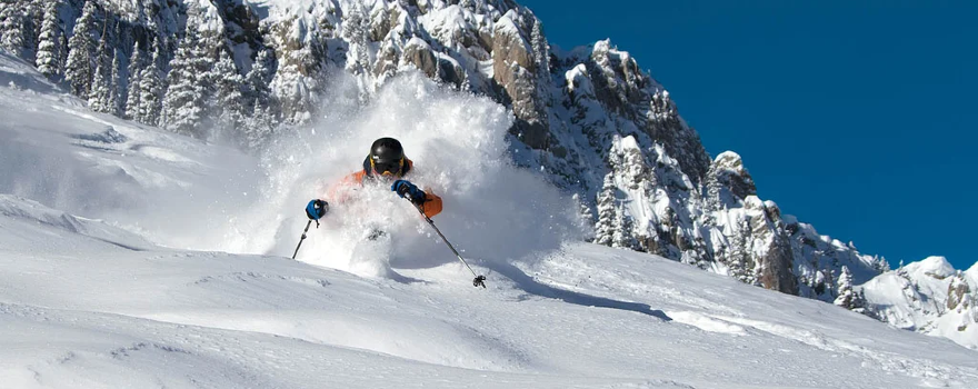 Bridger Bowl Ski Area