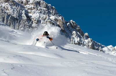 Bridger Bowl Ski Area