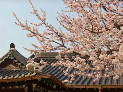 전주 한옥마을