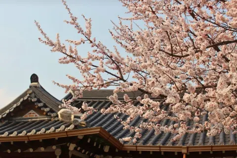 Jeonju Hanok Village