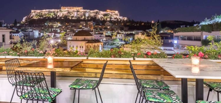 MS Roof Garden