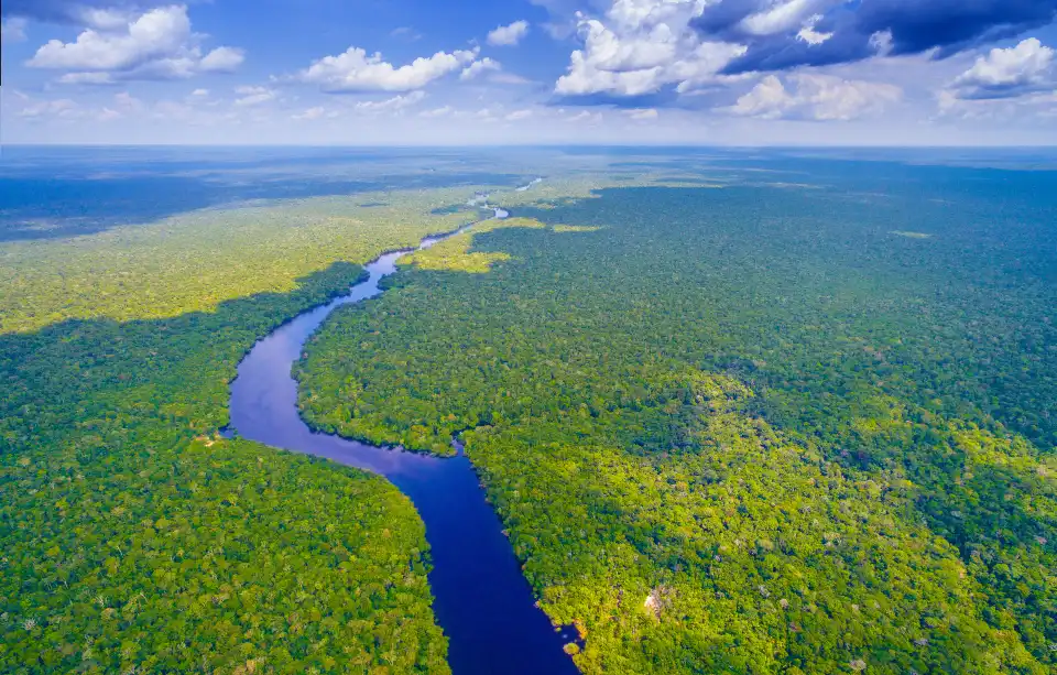 3_Amazon Rainforest