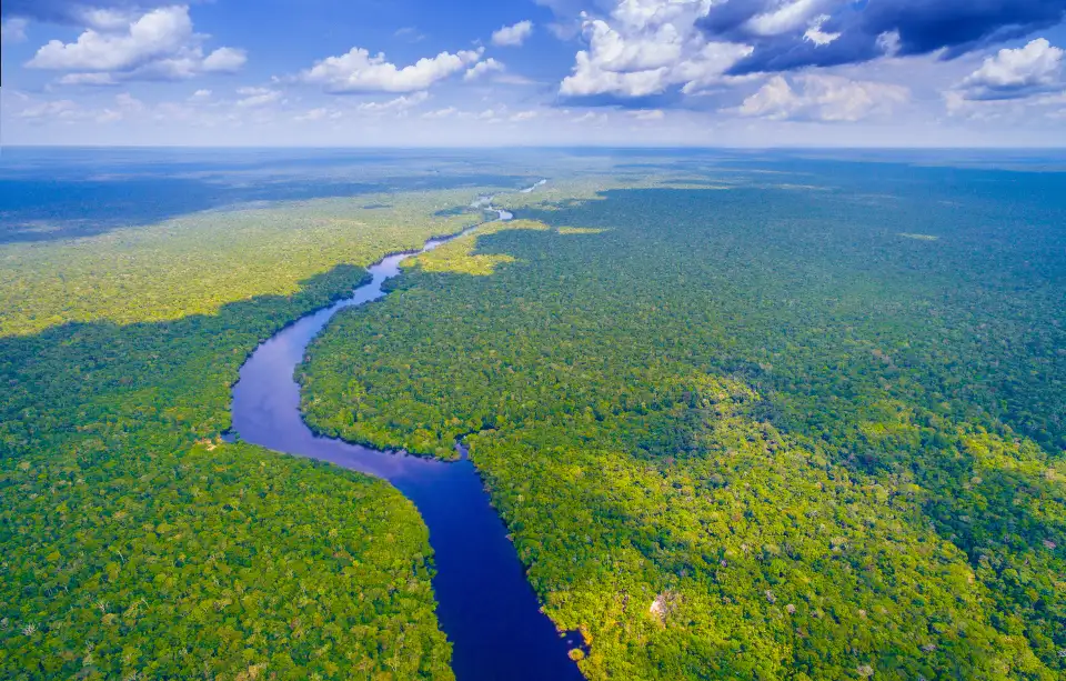 3_Amazon Rainforest