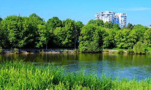 "King Michael I" Park