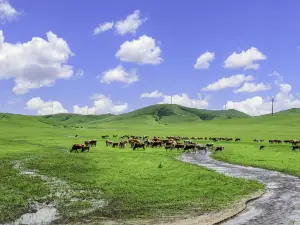 Ulan Mod grassland