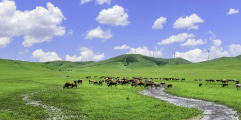 烏蘭毛都草原彩虹滑梯大小同價