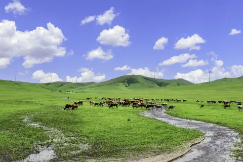 Ulan Mod grassland