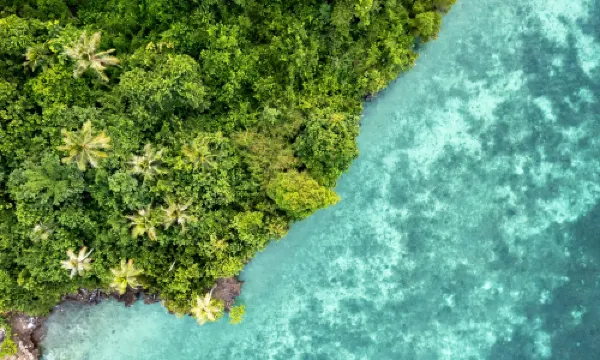 Sipadan Mangrove Resort