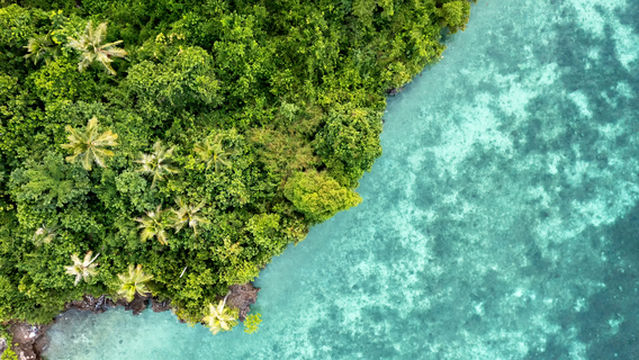 Sipadan Mangrove Resort