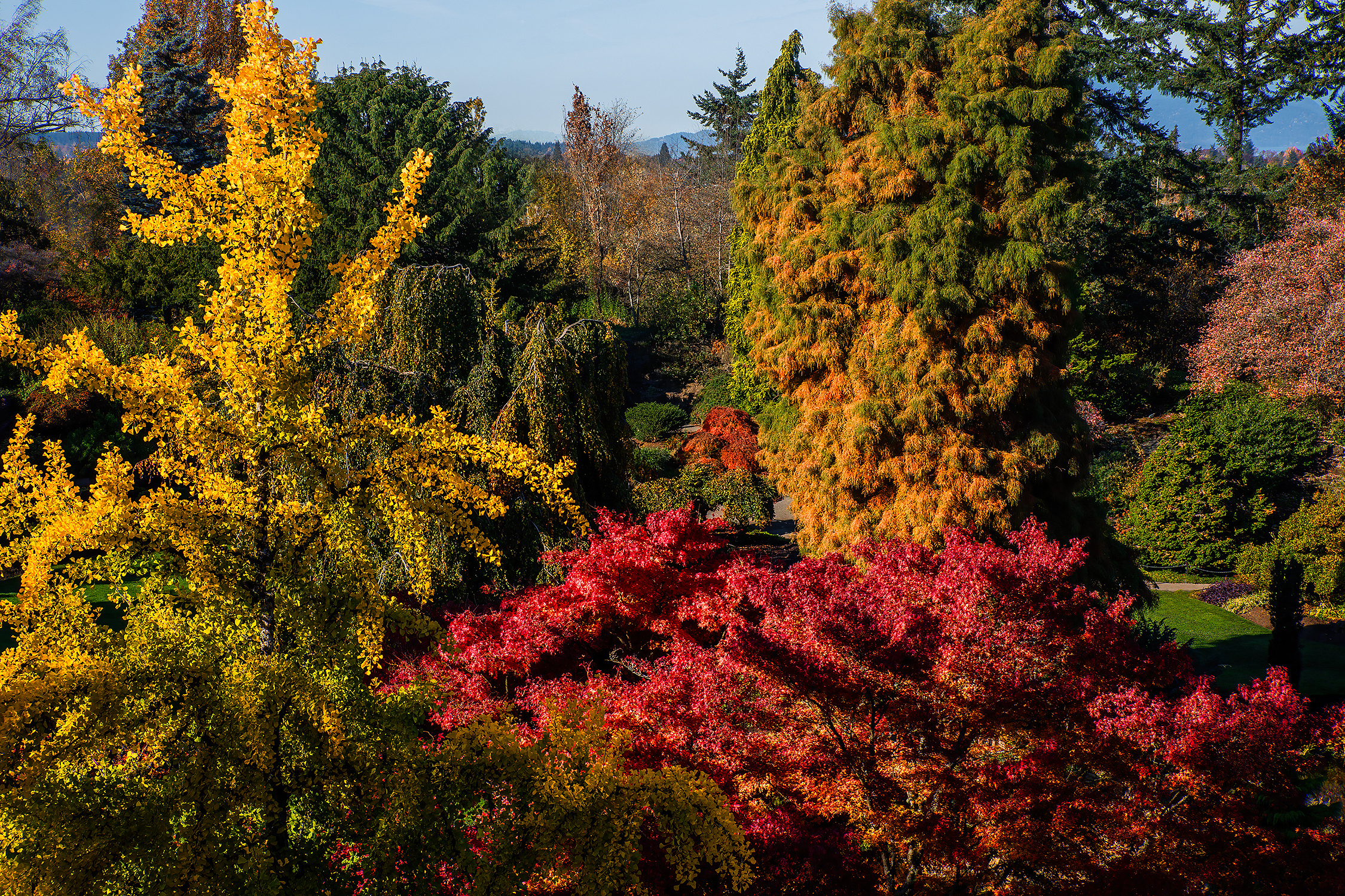 Queen Elizabeth Park