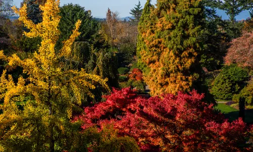 Queen Elizabeth Park