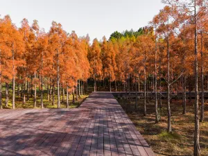 Suzhou Sanjiaoju Wetland Park