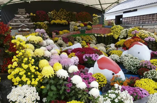 廣島城菊花展 | Ruins of Ninomaru of Hiroshima Castle