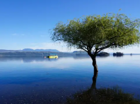 Playa Grande Lican-Ray