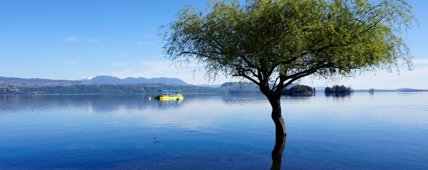 Playa Grande Lican-Ray