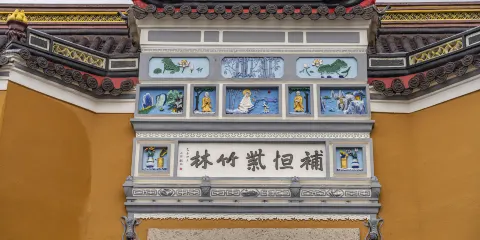 舟山市普陀山風景區-紫竹林