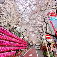 渋谷駅近くの桜坂