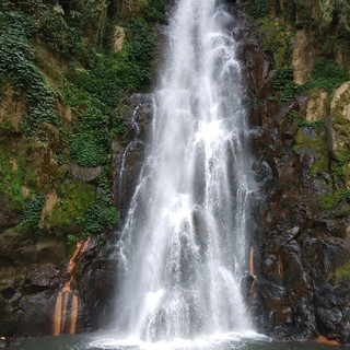 Merawu Falls is a recommended nature attraction for those coming to Wonosobo City and Dieng Plateau. With a strategic location and beautiful landscape, Giri Tirto Village should be proud of its waterfalls. Even many kinds of tourist activities can be done there, including relaxation, taking a bath, and photography. For those coming for bathing, however, they must find the right spot to get in the water. The reason is most of the part of the pond contains sulfur, which causes discomfort to the body. The best idea is to come with a local guide, someone who knows the site well.
Apart from taking a bath in Merawu Waterfall, you can do other activities as well. Those who love photography can explore several parts of the site and take good pictures of them. The best object is definitely the tallest falls that reside a bit further than the first one. It requires some trekking, but it won’t be a wasteful effort for sure. Once you reach the location, you would be amazed by those two majestic falls. The water is not quite hot because it has been mixed with the fresh water coming from the Merawu Waterfall. One thing, everyone should take care of the environment well. Those who carry foods or drinks are allowed to enjoy them, as long as they take care of the trash later. No one is allowed to spoil the beauty of the site.
#summervacation#hikingtrails#urbanexplorer