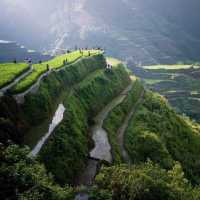 BANAUE RICE TERRACES