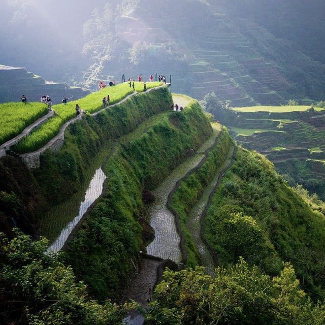 BANAUE RICE TERRACES