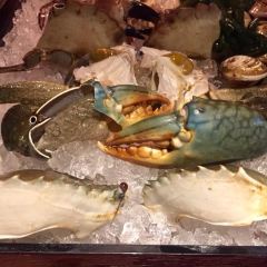 Addiction Aquatic Development User Photo