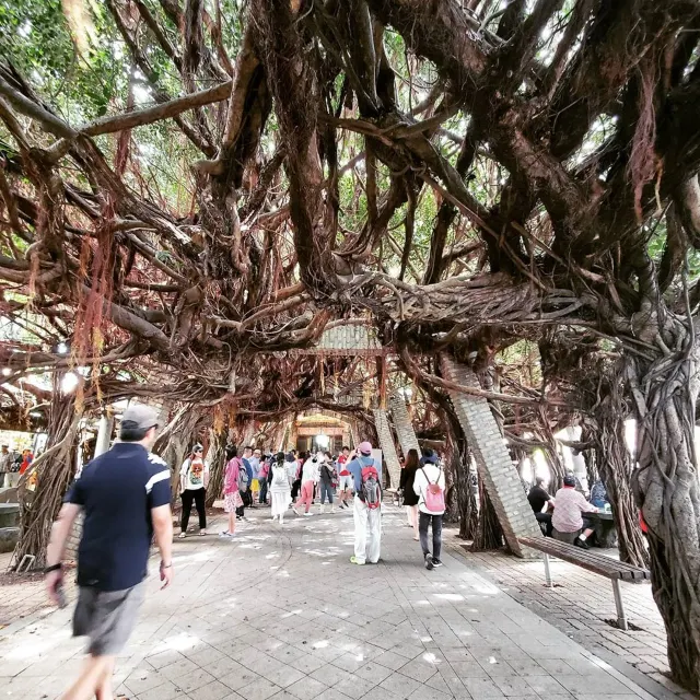 【2025澎湖旅遊】澎湖自由行:景點、美食、住宿、交通懶人包