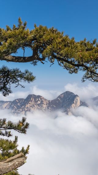 西安華山日帰り旅行です